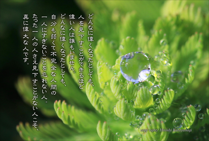 f:id:hiroshisj:20150410212339j:image f:id:hiroshisj:20150410212339j:image