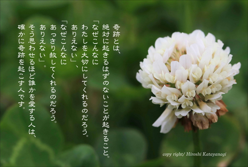 f:id:hiroshisj:20150428211443j:image
