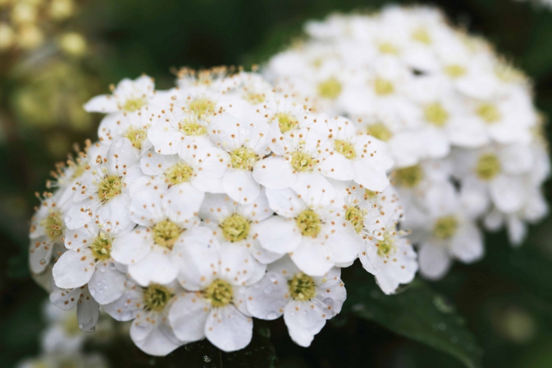 f:id:hiroshisj:20150429083135j:image