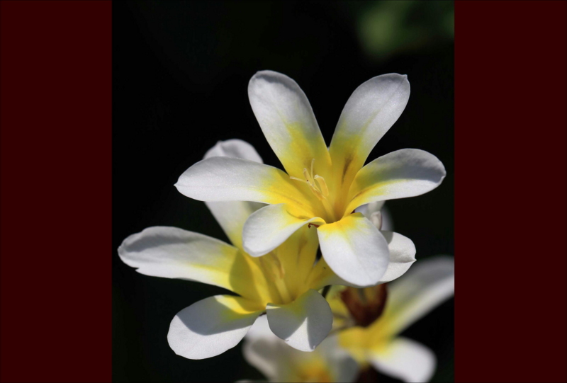 f:id:hiroshisj:20150429083311j:image