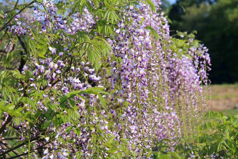 f:id:hiroshisj:20150429083633j:image