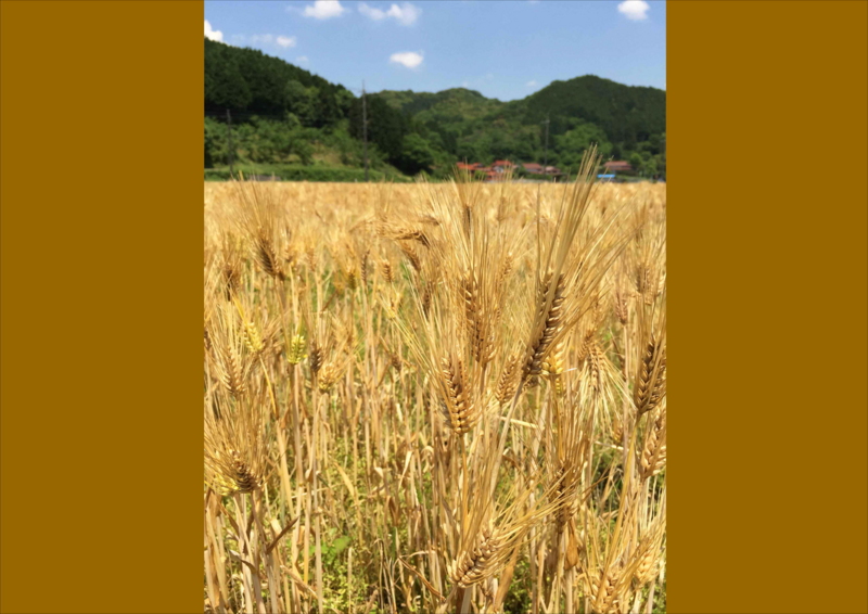 f:id:hiroshisj:20150526202222j:image f:id:hiroshisj:20150526202222j:image