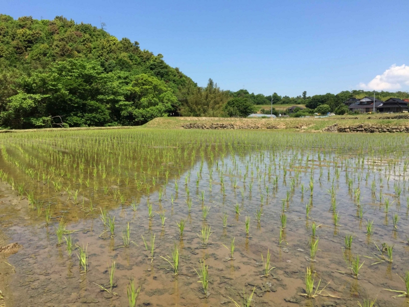 f:id:hiroshisj:20150526202314j:image f:id:hiroshisj:20150526202314j:image