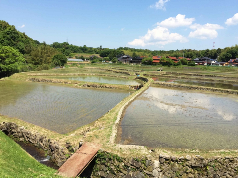 f:id:hiroshisj:20150526202323j:image f:id:hiroshisj:20150526202323j:image