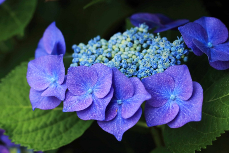 f:id:hiroshisj:20150611203104j:image