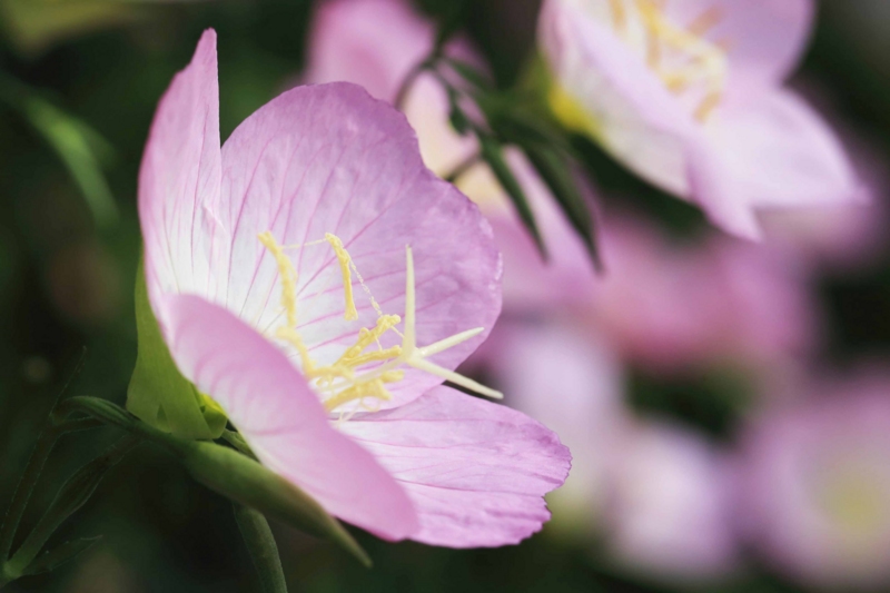 f:id:hiroshisj:20150611203203j:image