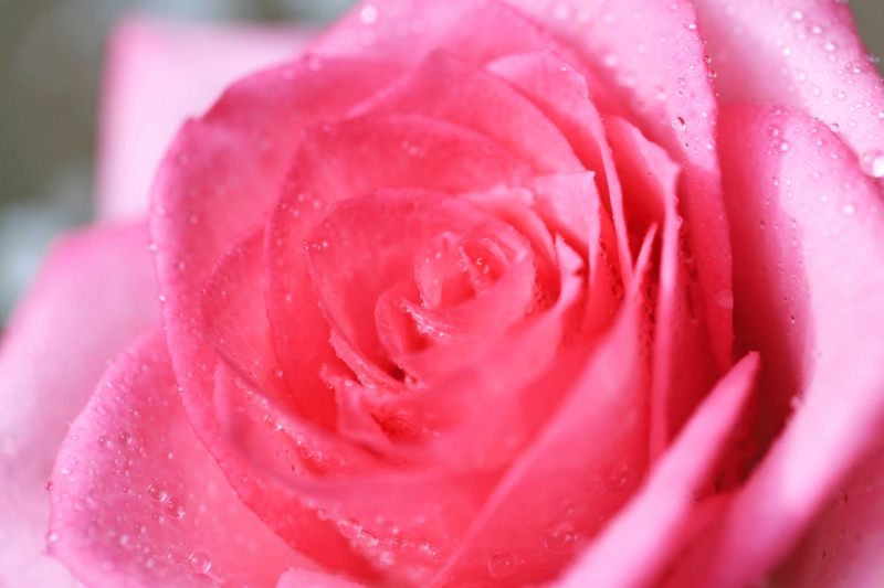 f:id:hiroshisj:20150611203231j:image