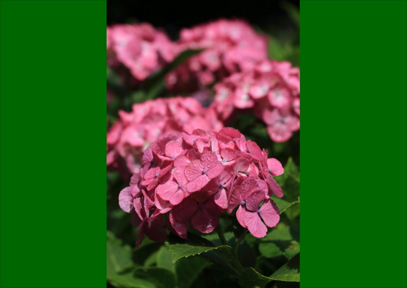 f:id:hiroshisj:20150613172227j:image