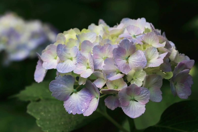 f:id:hiroshisj:20150613172244j:image