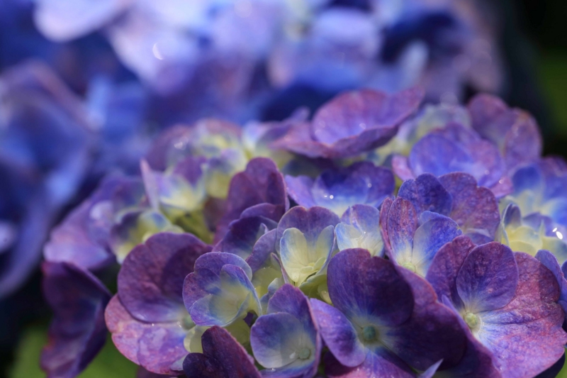 f:id:hiroshisj:20150613172305j:image