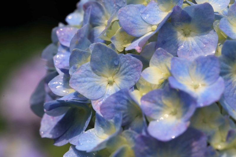 f:id:hiroshisj:20150613172347j:image