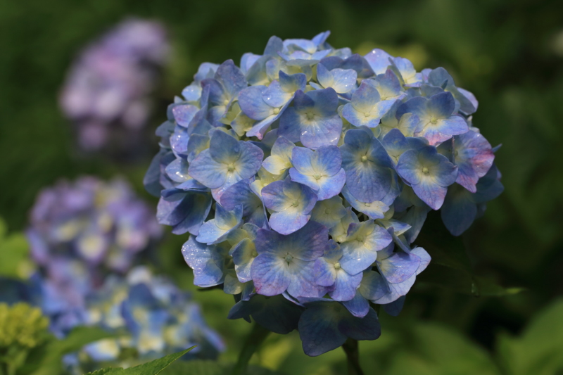 f:id:hiroshisj:20150613172417j:image