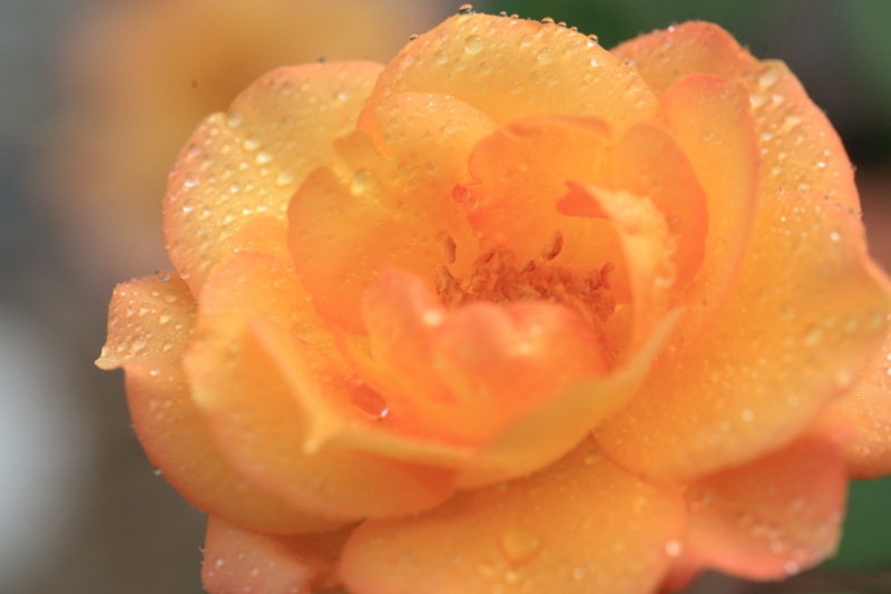 f:id:hiroshisj:20150617180843j:image