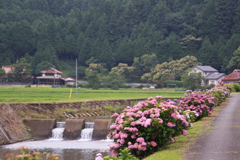 f:id:hiroshisj:20150622203625j:image f:id:hiroshisj:20150622203625j:image