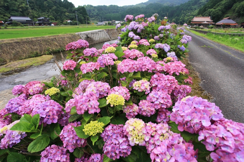 f:id:hiroshisj:20150622203705j:image f:id:hiroshisj:20150622203705j:image
