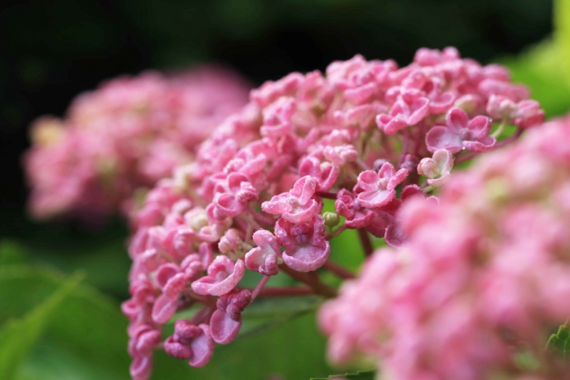 f:id:hiroshisj:20150626104141j:image f:id:hiroshisj:20150626104141j:image