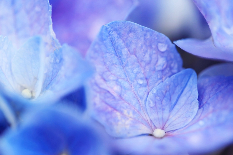 f:id:hiroshisj:20150626104206j:image f:id:hiroshisj:20150626104206j:image