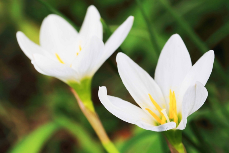 f:id:hiroshisj:20150717173802j:image