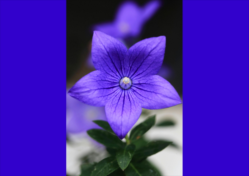 f:id:hiroshisj:20150717173822j:image