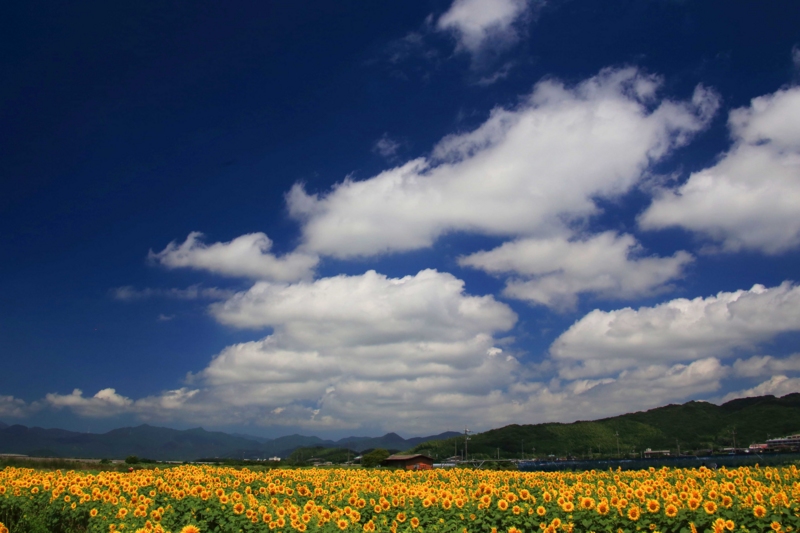 f:id:hiroshisj:20150727172723j:image