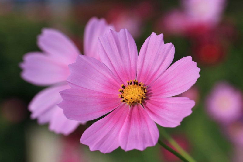 f:id:hiroshisj:20150917173322j:image f:id:hiroshisj:20150917173322j:image
