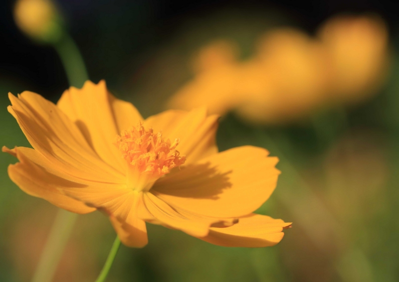 f:id:hiroshisj:20150917173403j:image f:id:hiroshisj:20150917173403j:image