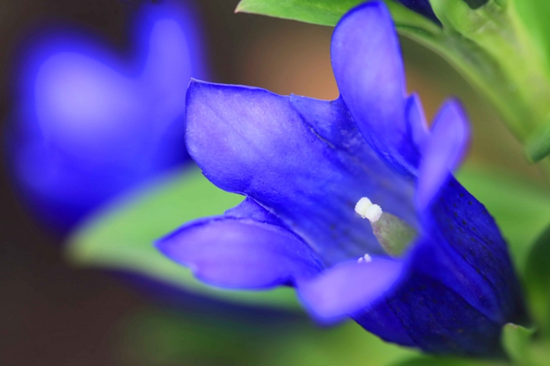 f:id:hiroshisj:20150917173814j:image f:id:hiroshisj:20150917173814j:image