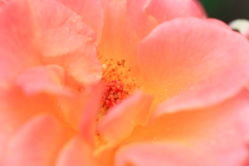 f:id:hiroshisj:20151016172912j:image f:id:hiroshisj:20151016172912j:image