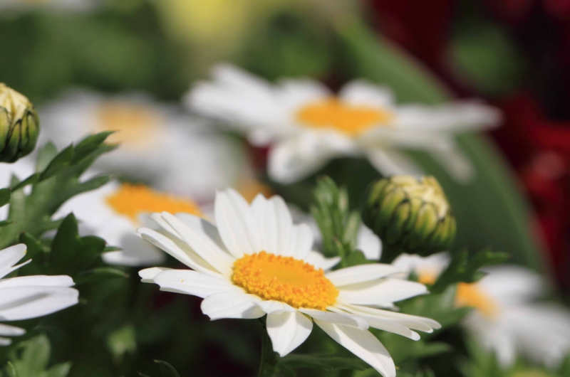 f:id:hiroshisj:20160320215037j:image f:id:hiroshisj:20160320215037j:image