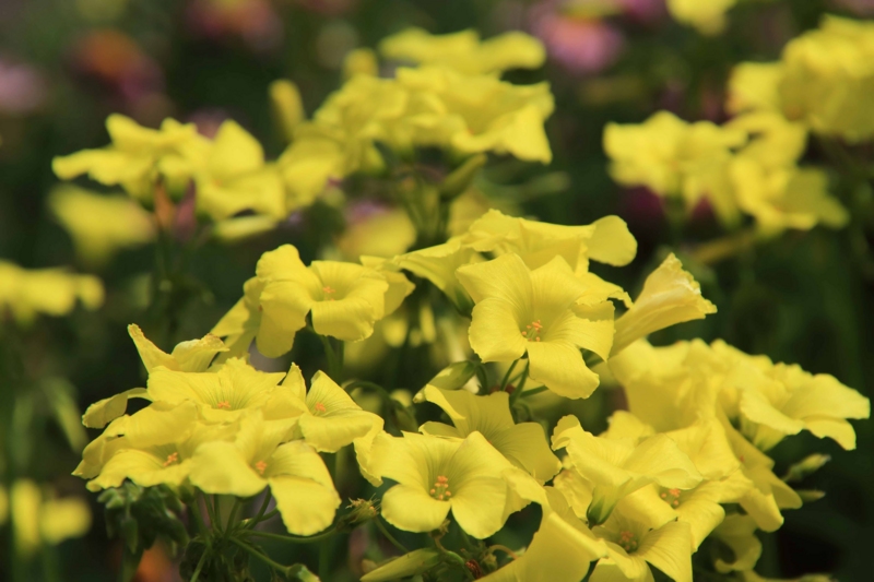 f:id:hiroshisj:20160324214127j:image f:id:hiroshisj:20160324214127j:image