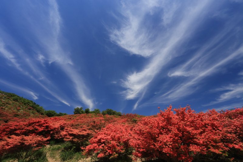 f:id:hiroshisj:20160508204232j:image f:id:hiroshisj:20160508204232j:image