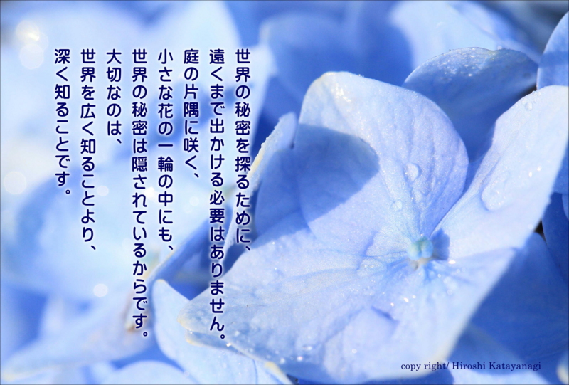 f:id:hiroshisj:20160602221002j:image f:id:hiroshisj:20160602221002j:image