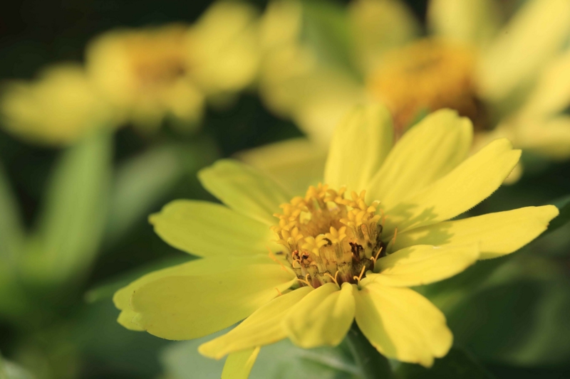 f:id:hiroshisj:20160616210510j:image