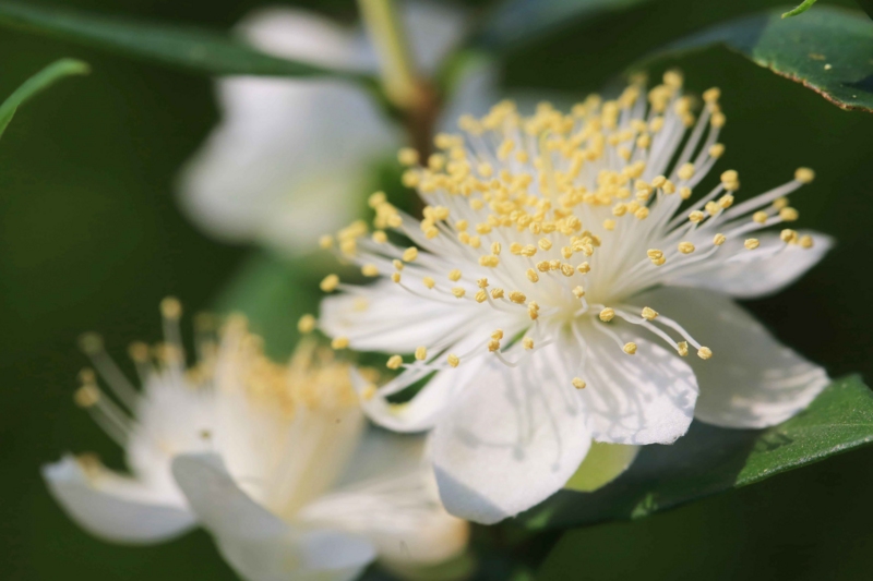 f:id:hiroshisj:20160616210546j:image