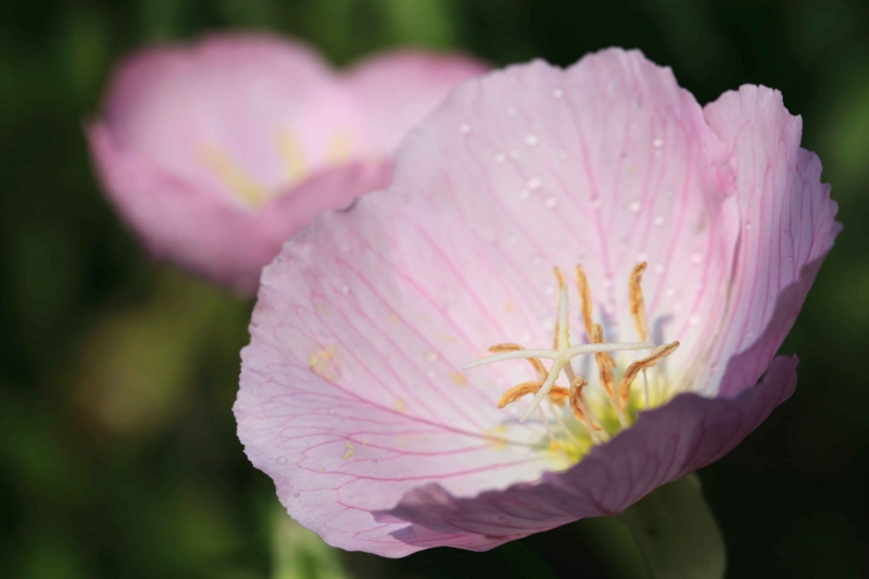 f:id:hiroshisj:20160616210607j:image