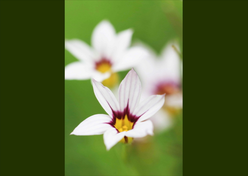 f:id:hiroshisj:20160624105726j:image f:id:hiroshisj:20160624105726j:image
