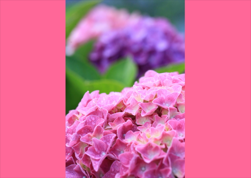 f:id:hiroshisj:20160624105859j:image f:id:hiroshisj:20160624105859j:image