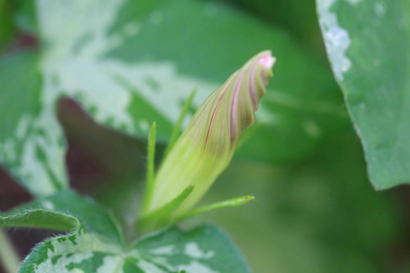 f:id:hiroshisj:20160624114508j:image f:id:hiroshisj:20160624114508j:image