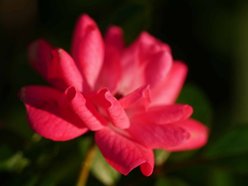 f:id:hiroshisj:20161007215952j:image