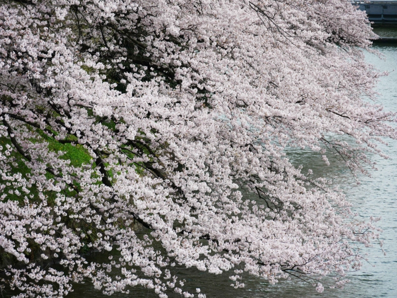 f:id:hiroshisj:20170411170204j:image f:id:hiroshisj:20170411170204j:image