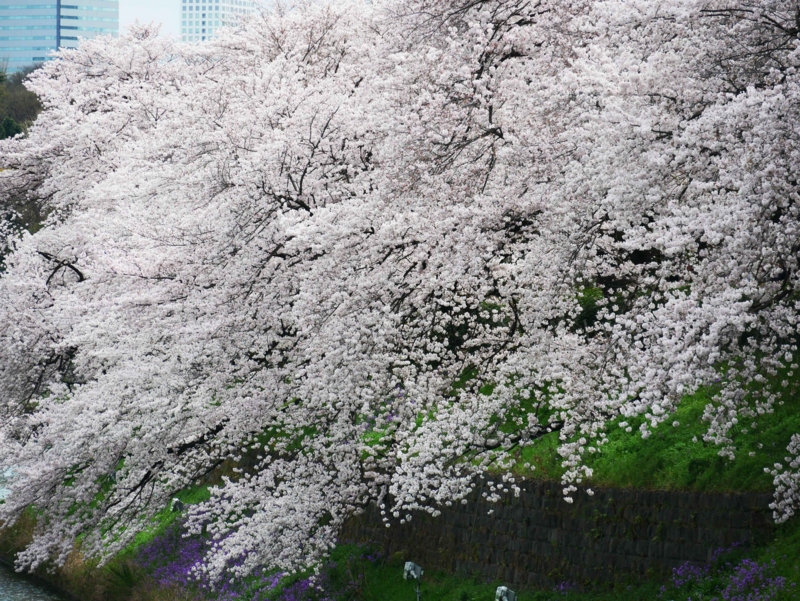 f:id:hiroshisj:20170411170315j:image f:id:hiroshisj:20170411170315j:image