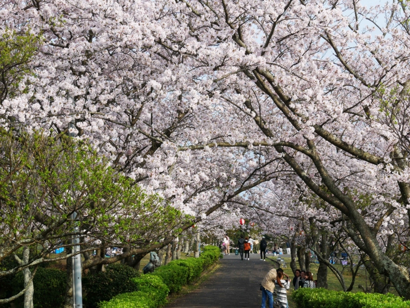 f:id:hiroshisj:20170411181548j:image f:id:hiroshisj:20170411181548j:image