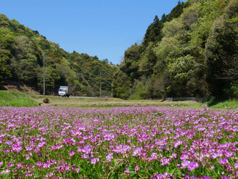 f:id:hiroshisj:20170426194600j:image f:id:hiroshisj:20170426194600j:image