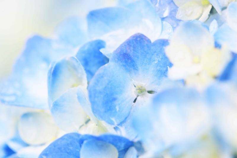 f:id:hiroshisj:20170616214248j:image