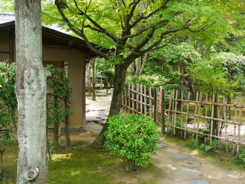 f:id:hiroshisj:20170721221646j:image