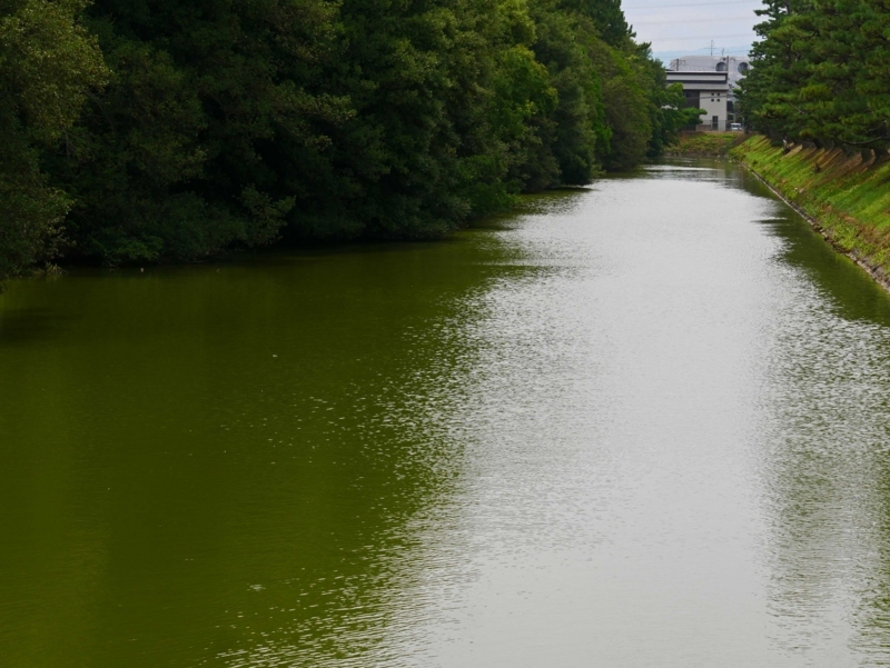 f:id:hiroshisj:20170721221711j:image