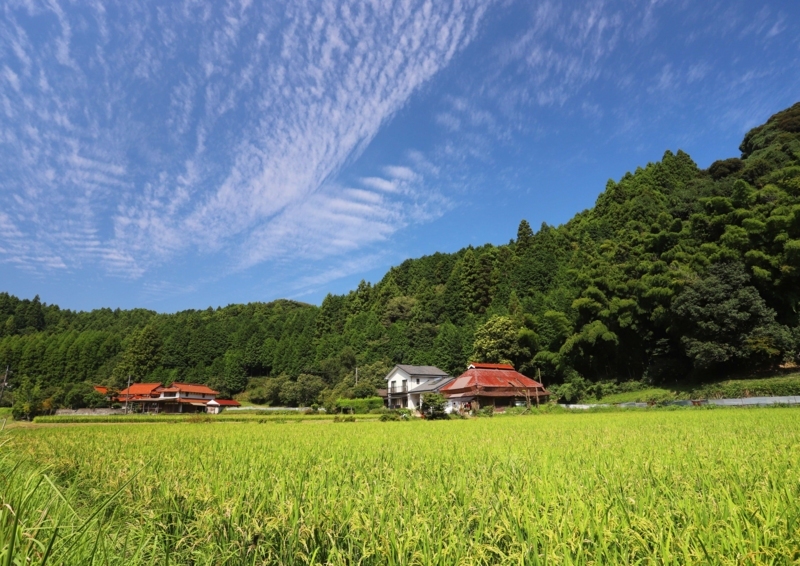 f:id:hiroshisj:20170927211418j:image