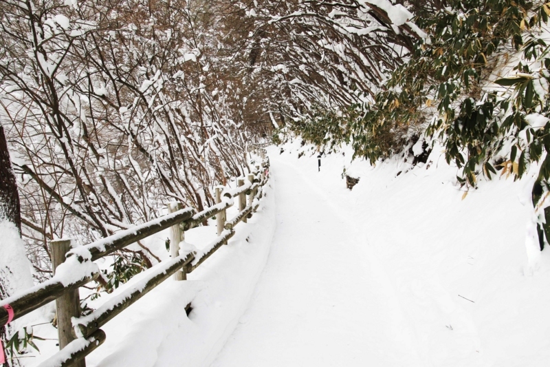 f:id:hiroshisj:20180109221635j:image