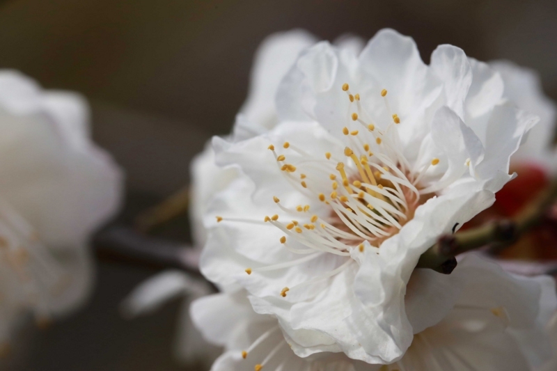 f:id:hiroshisj:20180225222451j:image f:id:hiroshisj:20180225222451j:image
