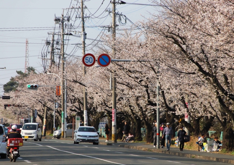 f:id:hiroshisj:20180404222313j:image